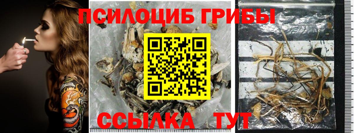 Галлюциногенные грибы мухоморы Благовещенск